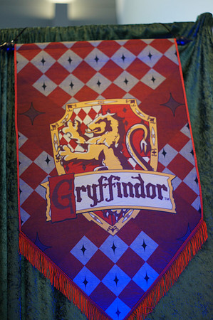 HARRY POTTER LOCK-IN