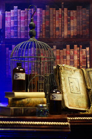 HARRY POTTER LOCK-IN