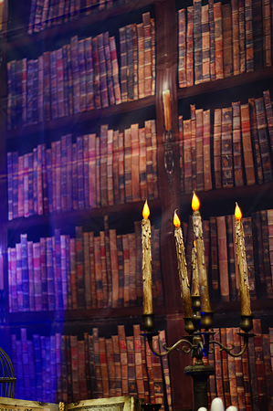 HARRY POTTER LOCK-IN