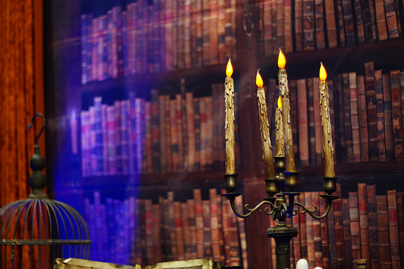 HARRY POTTER LOCK-IN