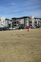 STAPLETON MCA EGG SCRAMBLE