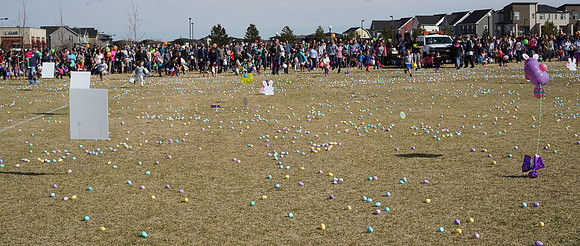 STAPLETON MCA EGG SCRAMBLE