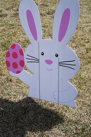 STAPLETON MCA EGG SCRAMBLE