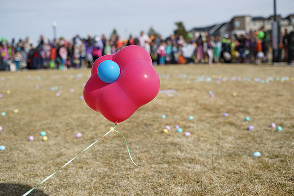 STAPLETON MCA EGG SCRAMBLE