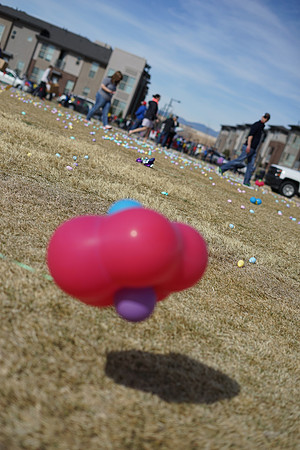 STAPLETON MCA EGG SCRAMBLE