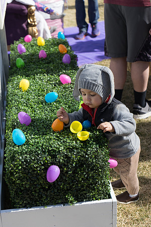 STAPLETON MCA EGG SCRAMBLE