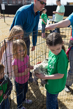 STAPLETON MCA EGG SCRAMBLE