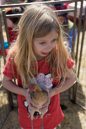 STAPLETON MCA EGG SCRAMBLE