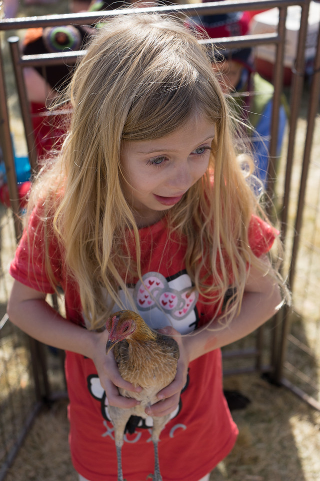 STAPLETON MCA EGG SCRAMBLE