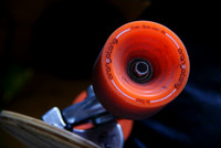 Professional Photography In Denver