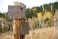 Colorado Professional Photographers
